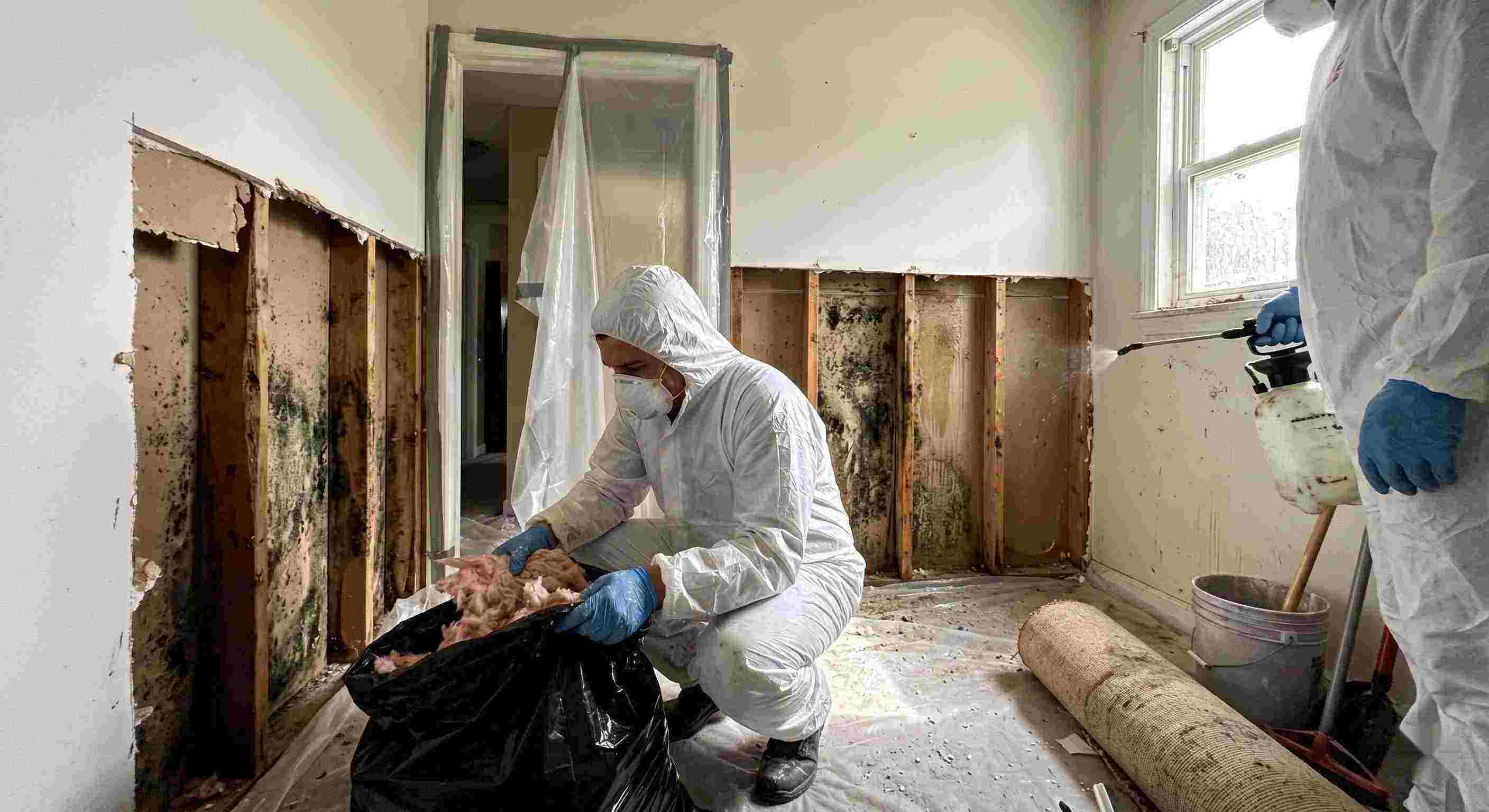 Fast mold remediation services removing mold behind wall in home in Estero